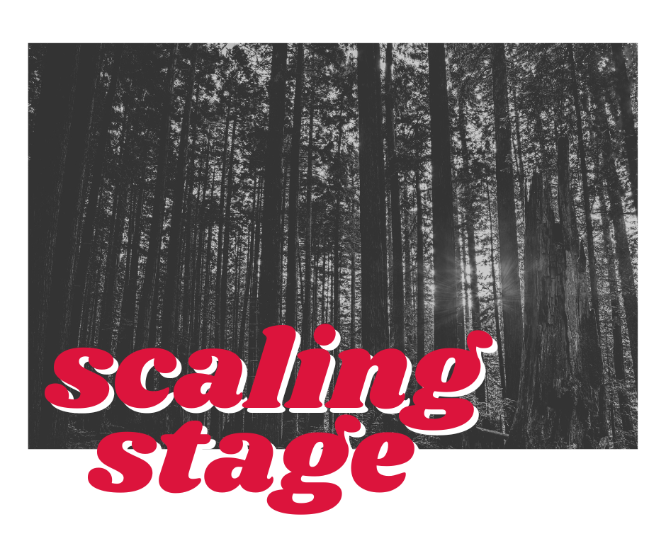 scaling stage marketing for startups