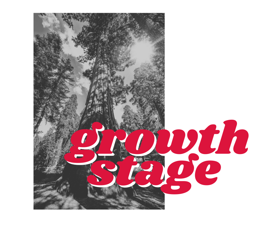 growth stage marketing for startups