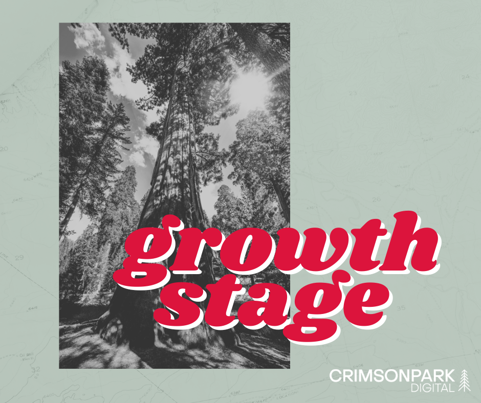 A tall tree represents the growth stage of startup development