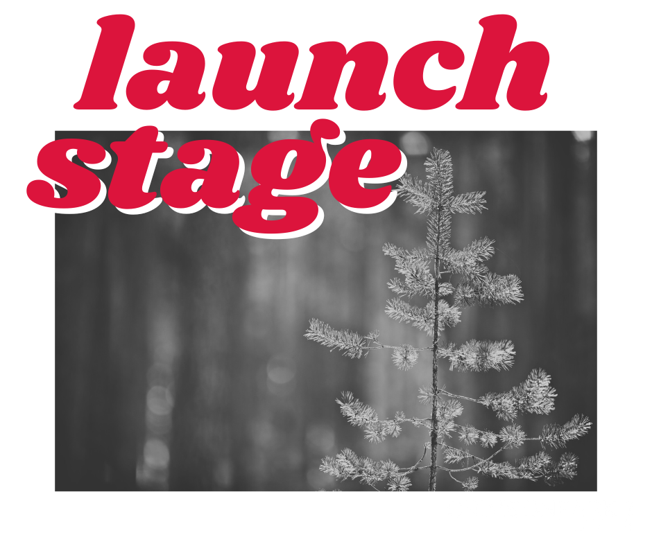 launch stage marketing for startups