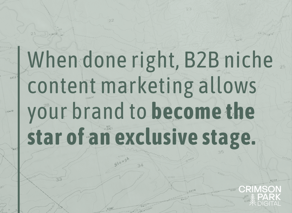Quote reads When done right, B2B niche content marketing allows your brand to become the star of an exclusive stage