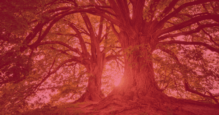 BLOG FEATURED IMAGE (3)