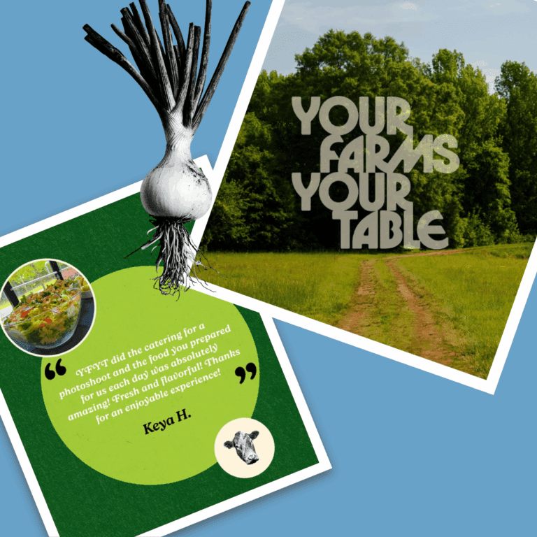 CPD Website_Social Media Examples (1)